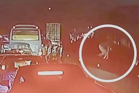 Tắc đường lại buồn đi vệ sinh, người đàn ông nhảy từ cầu vượt xuống