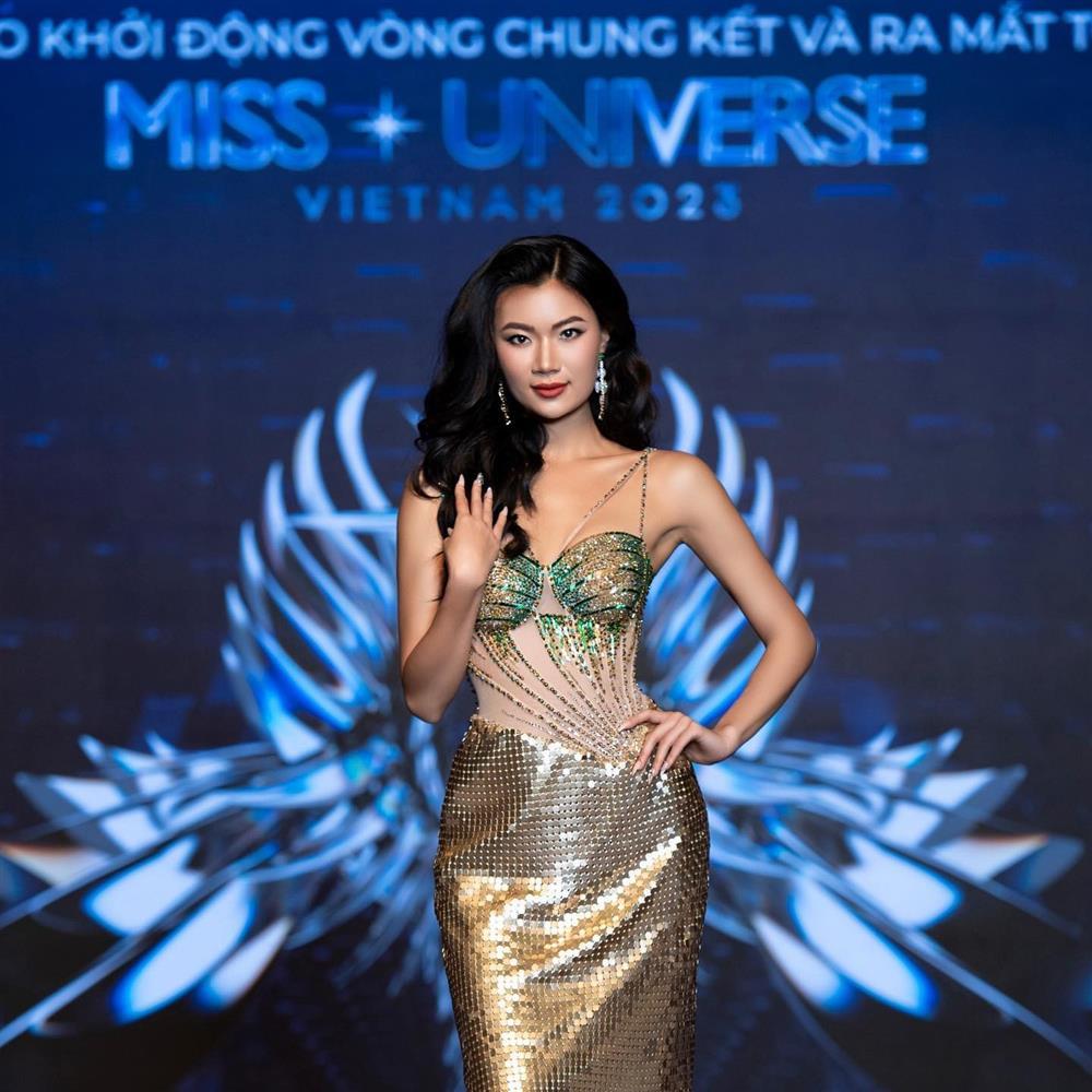 Nhan sắc người đẹp có khối u trong ngực giành ngôi Á hậu 2 Miss Universe Vietnam-3