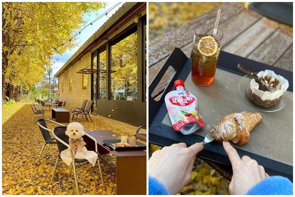 TOP những địa điểm du lịch Hàn Quốc không nên bỏ qua-6