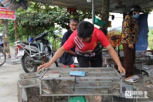 Người dân bỏ túi tiền triệu mỗi ngày nhờ săn đặc sản chuột đồng-12