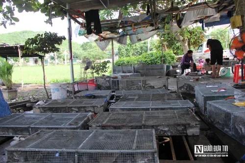 Người dân bỏ túi tiền triệu mỗi ngày nhờ săn đặc sản chuột đồng-7