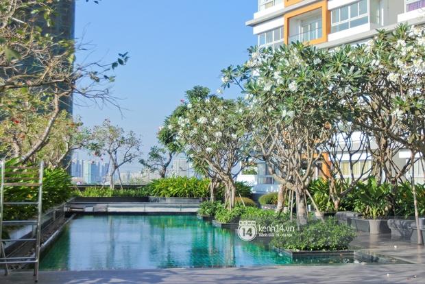 Tò mò căn hộ của cô gái chăn trâu gây tiếc nuối khi 4 lần thi Miss Universe Vietnam không chạm tới vương miện-14