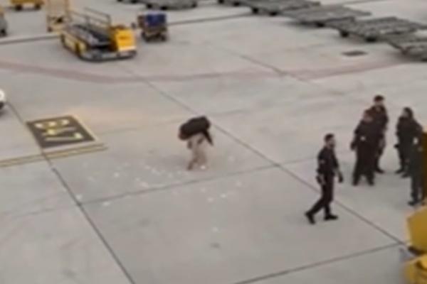 Sân bay ngừng hoạt động vì phát hiện vật lạ hình đầu lâu trong hành lý khách bay-2