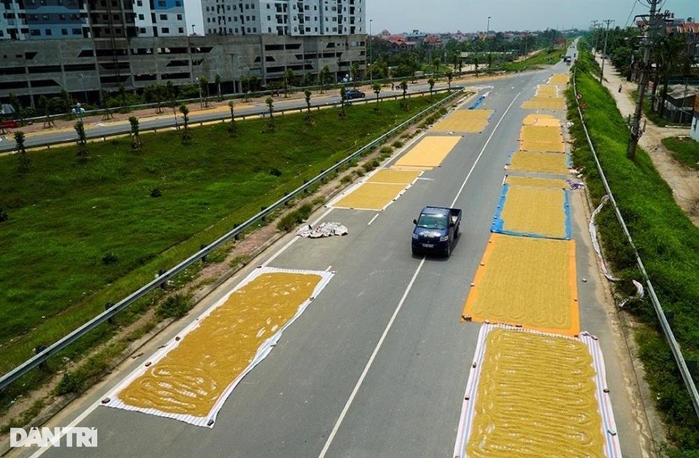 Nữ sinh 15 tuổi chết vì đống thóc giữa đường, bắt đền ai?-2