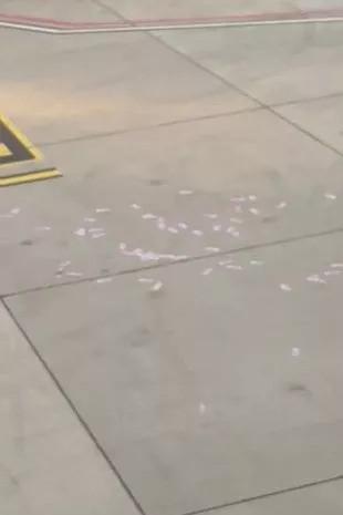 Bị đuổi khỏi máy bay do say rượu, nữ du khách ném hàng xấp tiền xuống đường băng-4