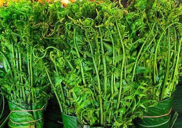Món rau dại là đặc sản đãi khách giúp nhuận tràng, bảo vệ gan… chế biến kiểu này cực ngon-1