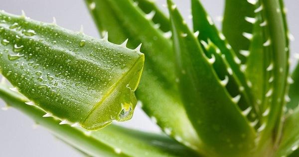 7 nguyên liệu sẵn có trong bếp ngăn ngừa rụng tóc mùa thu-3