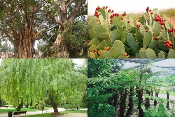 Lập Đông năm 2023 khi nào? Những kiêng kỵ để 3 tháng cuối năm may mắn-2