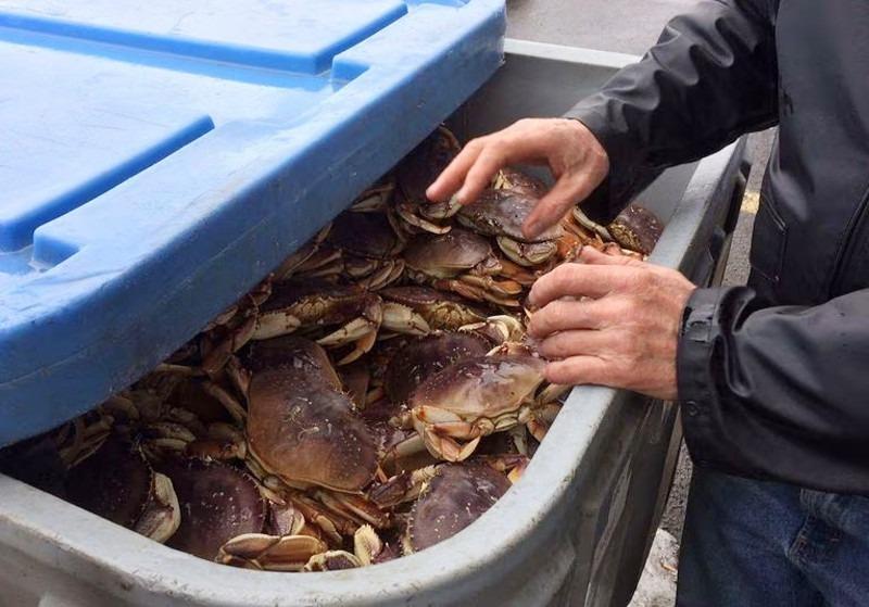 Những người nên cảnh giác khi ăn cua-2