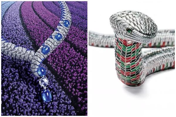 Cuộc chơi màu sắc của các thương hiệu xa xỉ đều có dụng ý-7