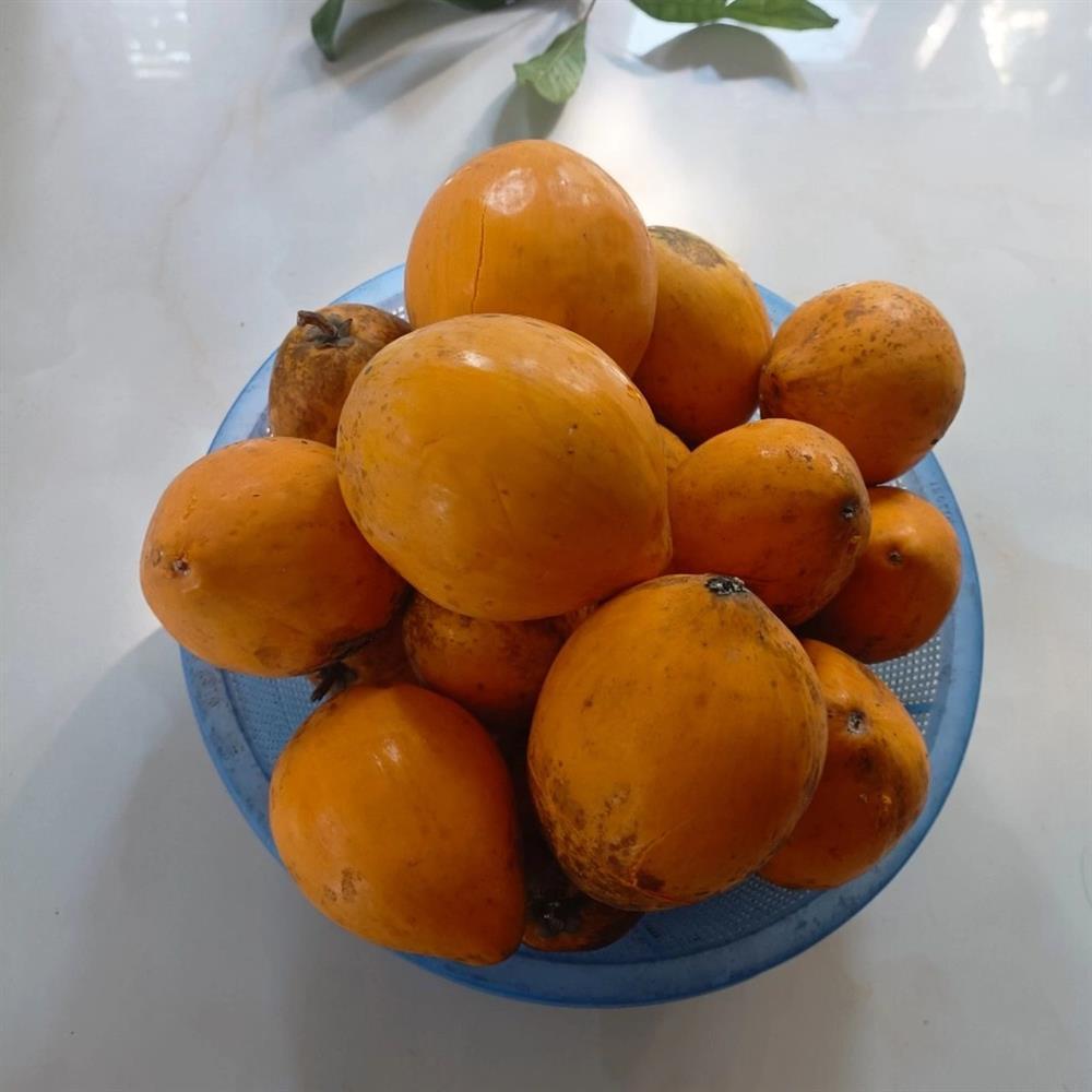 Bà mẹ ở Thái Bình chi 650.000 đồng mua đồ ăn đầy đủ cả tuần cho nhà 5 người-2