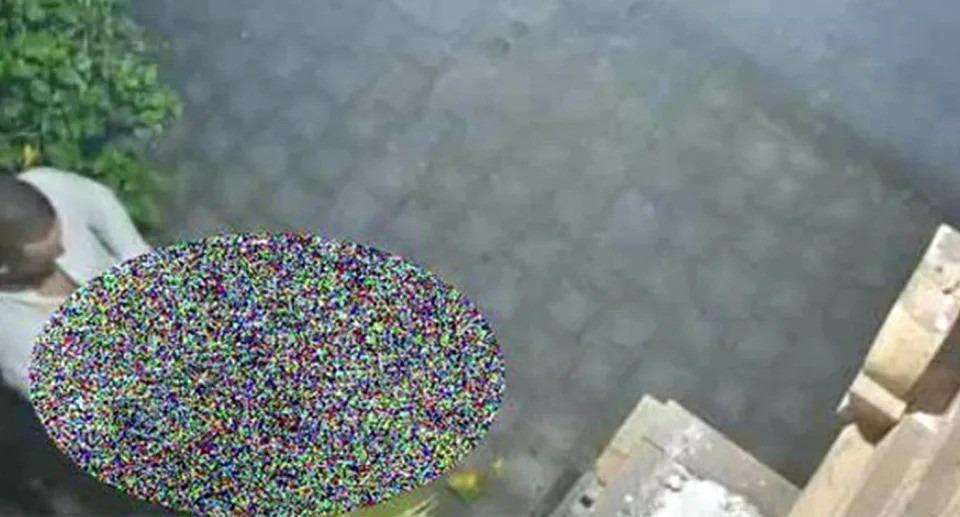 Du khách bị bắt, trục xuất khỏi Bali vì mây mưa nơi công cộng-1