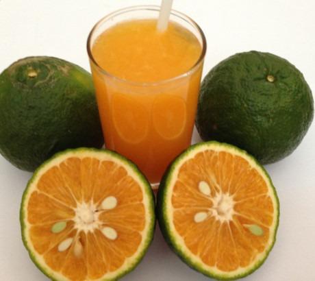 Người mắc bệnh dạ dày muốn uống nước cam nên thêm một thứ này, nước cam sẽ thơm ngon và bảo vệ dạ dày của bạn tốt hơn!-1