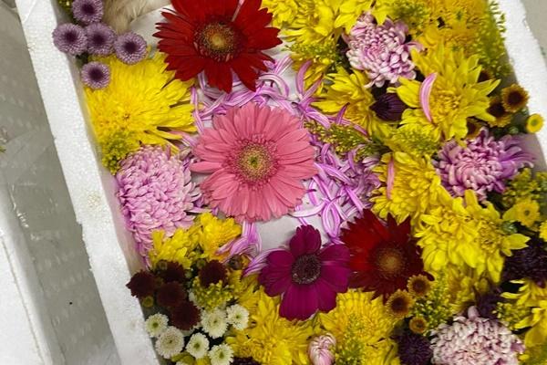 Nghề thử thức ăn cho chó, lương 1,5 tỷ đồng: Không phải ai cũng dám làm!-3