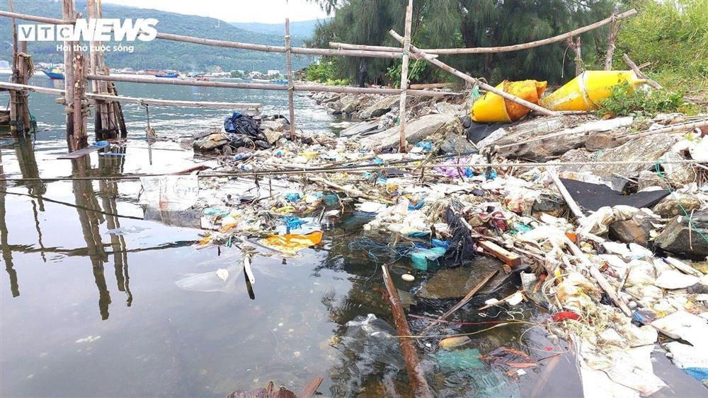 Vịnh Mân Quang ngập ngụa rác thải, nước đen như mực-3
