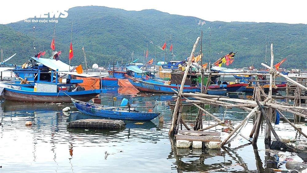 Vịnh Mân Quang ngập ngụa rác thải, nước đen như mực-5