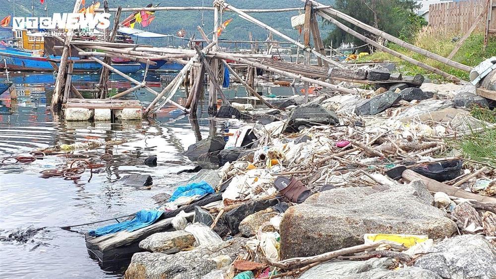 Vịnh Mân Quang ngập ngụa rác thải, nước đen như mực-6