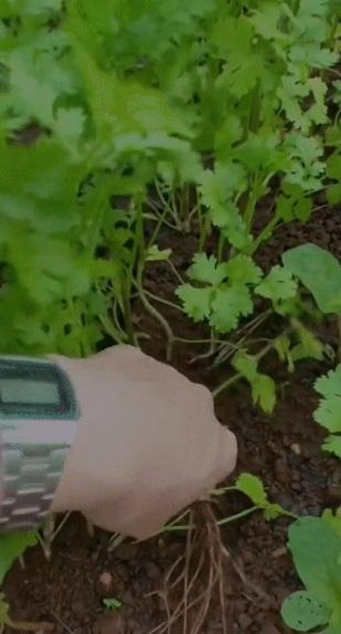 Khác hẳn hình ảnh lộng lẫy trên sàn catwalk, Hoa hậu HHen Niê biến hình ở quê nhà-11