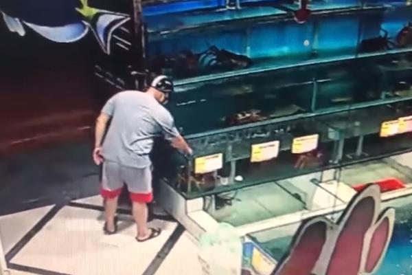 Vụ trộm tôm hùm ở Hà Nội: Nhiều người tố tên trộm mặc bộ đồ xám-2