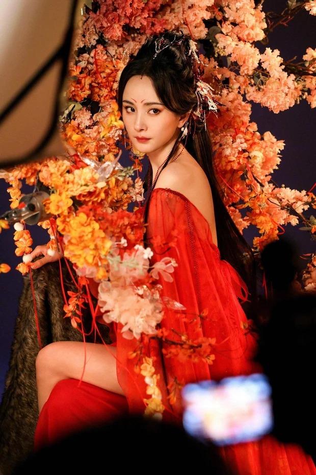 Dàn mỹ nhân Hoa ngữ trong tạo hình cổ trang: Triệu Lệ Dĩnh, Dương Mịch đẹp lộng lẫy-7