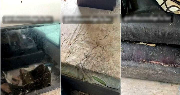 Cho gái trẻ thuê nhà, ông chủ phát điên khi thấy căn hộ thành núi rác thối-3