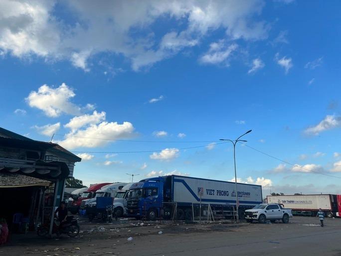 Vụ cô gái bị sát hại ở chợ đầu mối Thủ Đức: Khởi tố chồng nữ hung thủ-3