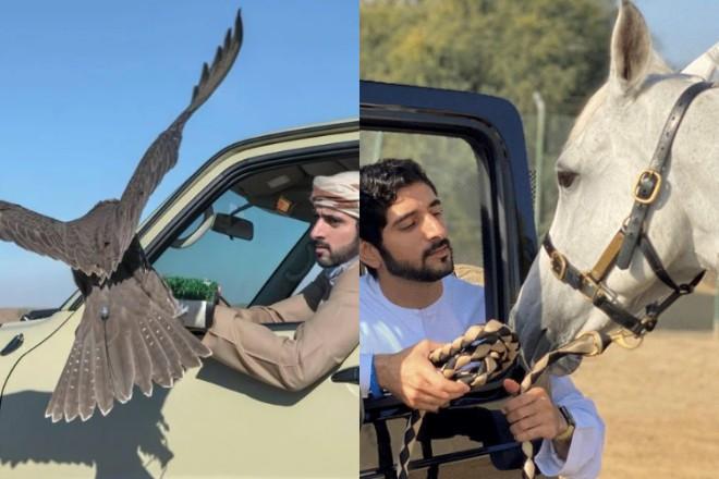 Thái tử Dubai thích làm thơ, nuôi quái thú và khối tài sản 400 triệu USD-3