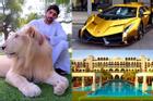 Thái tử Dubai thích làm thơ, nuôi 'quái thú' và khối tài sản 400 triệu USD