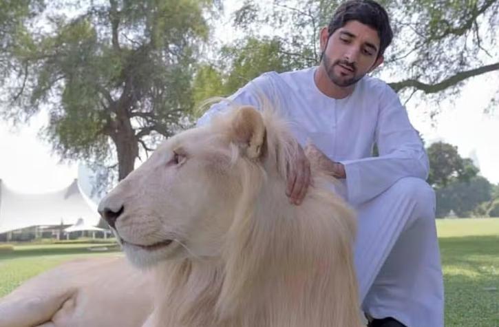 Thái tử Dubai thích làm thơ, nuôi quái thú và khối tài sản 400 triệu USD-1