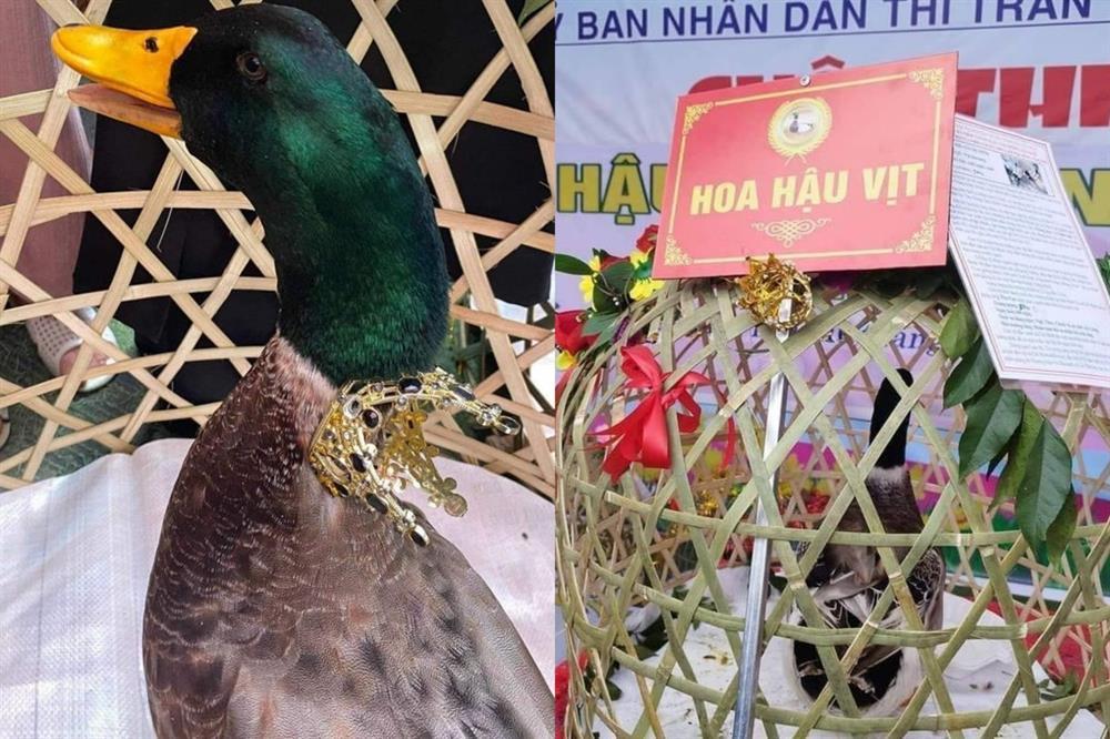 Độc lạ cuộc thi hoa hậu vịt ở Lạng Sơn gây sốt mạng-1