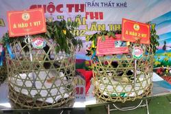 Độc lạ cuộc thi 'hoa hậu vịt' ở Lạng Sơn gây sốt mạng