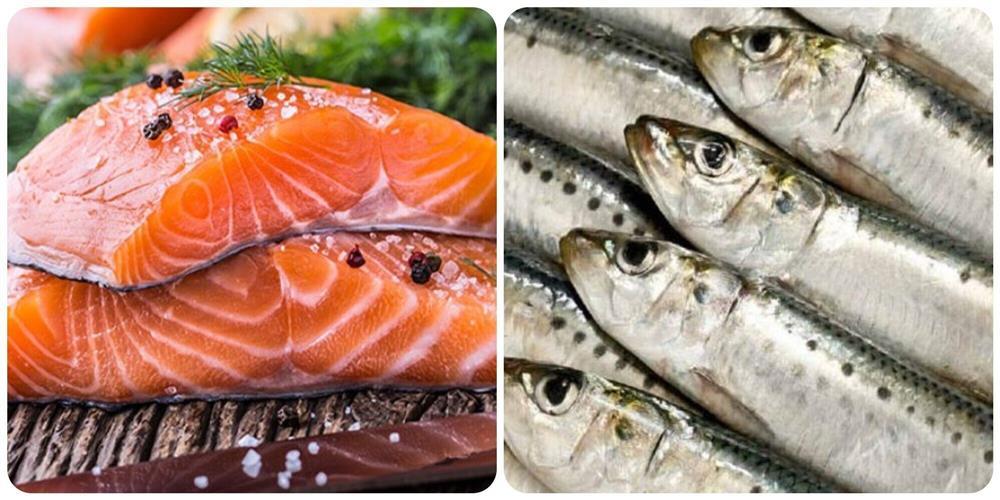 3 loại cá giàu canxi hơn cả sữa bạn nên biết-1