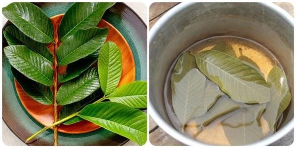 Loại lá này vừa đắng lại chát xít nhưng rất tốt cho sức khỏe-1