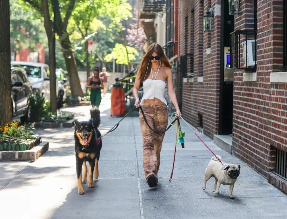 Cô gái nổi tiếng nhờ luôn ăn mặc sành điệu khi dạo phố cùng cún cưng-2