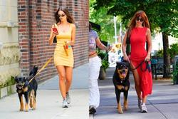 Cô gái nổi tiếng nhờ luôn ăn mặc sành điệu khi dạo phố cùng cún cưng