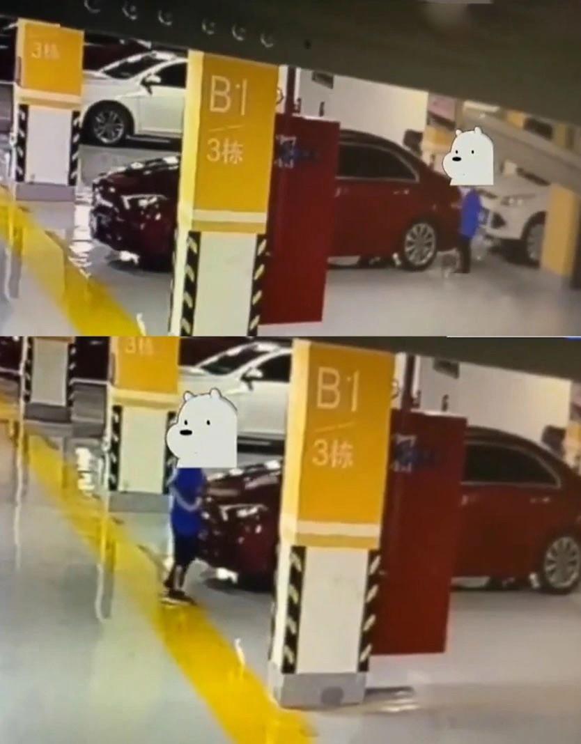 Phá hoại siêu xe Lamborghini, cậu bé thách thức chủ xe vì là trẻ vị thành niên-2