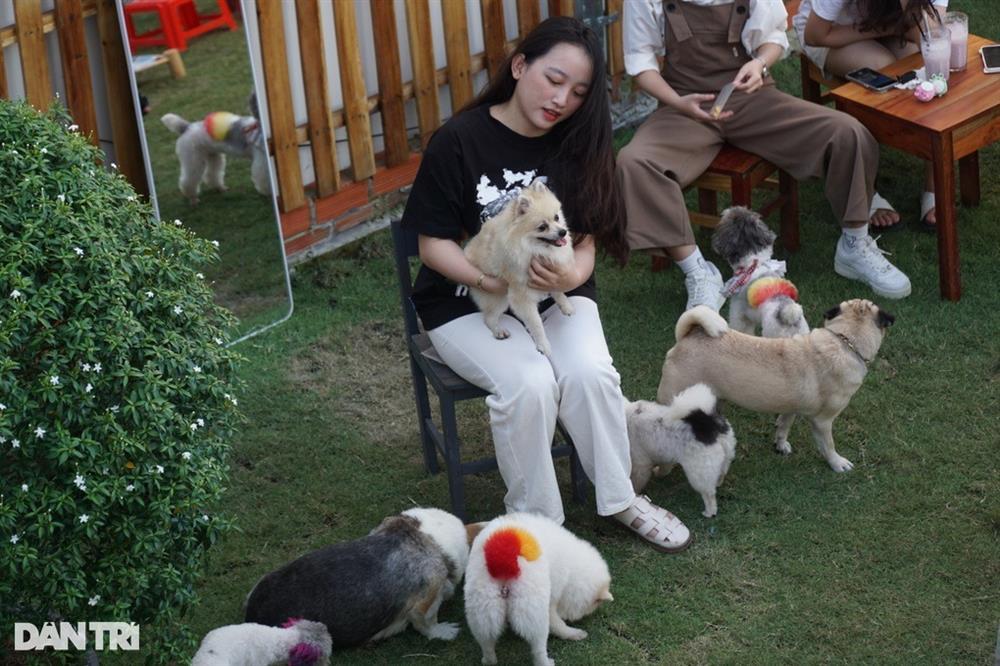 Độc lạ quán cà phê có 30 con chó chạy bàn ở Cần Thơ-2