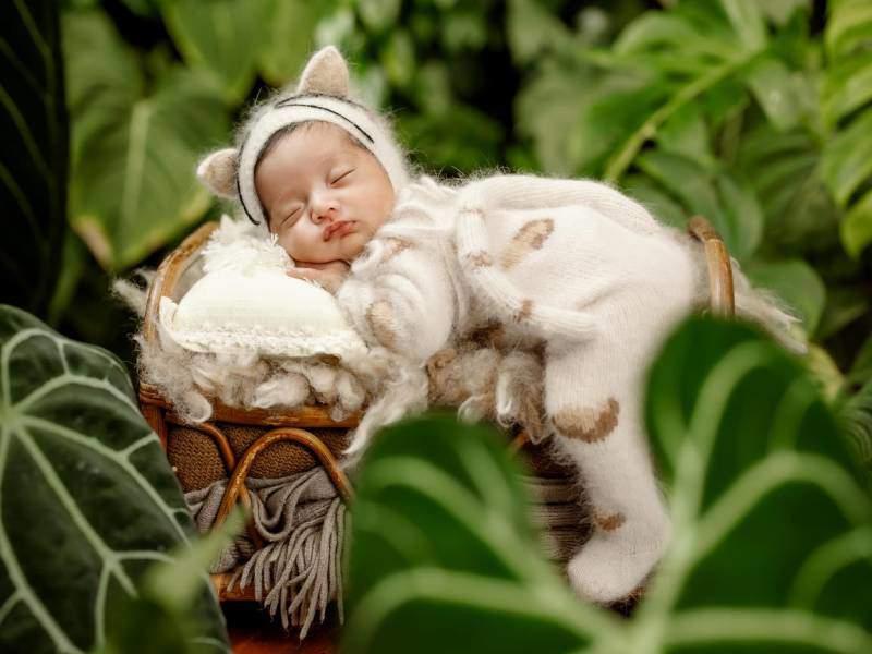 Tên thật con gái út nhà Phan Hiển - Khánh Thi được hé lộ, hóa ra liên quan một người đặc biệt-3