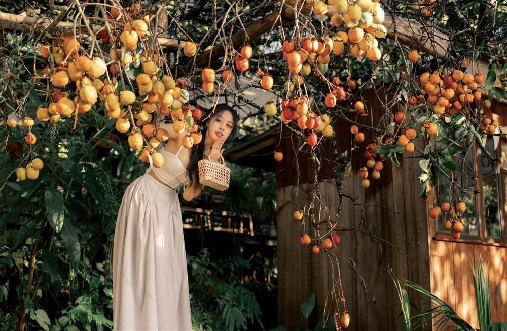 Đồi cỏ dại ngả vàng thành điểm chụp ảnh đẹp ngất ngây ở Đà Lạt-6