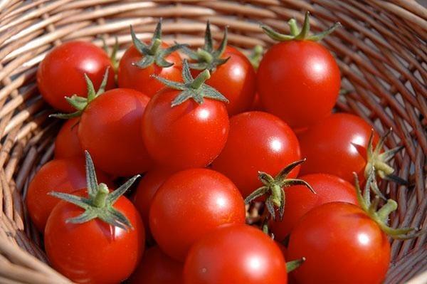 Ăn cà chua cần tránh những sai lầm này kẻo ngộ độc, suy giảm chức năng thận-2