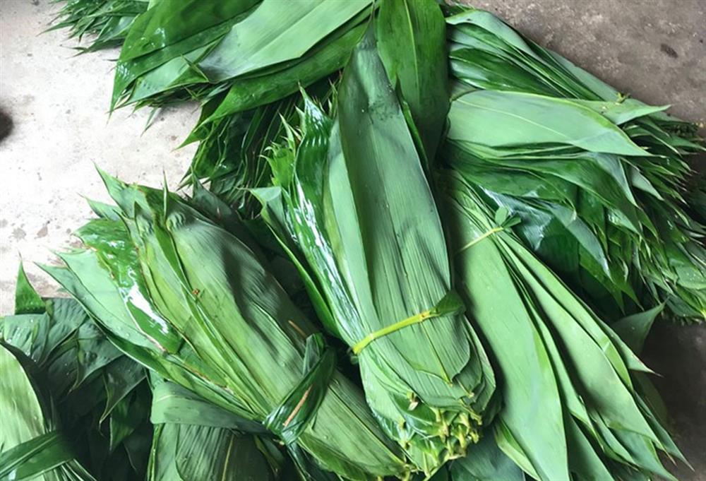 Loại lá bỏ đi rụng đầy ở Việt Nam, sang nước ngoài giá đắt đỏ-1