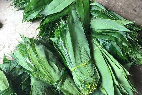 Thêm 1 loại lá chữa xương khớp cực tốt, đây là 7 bài thuốc chữa bệnh hữu hiệu tại nhà-3