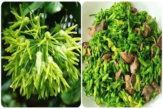 Loại hoa dễ trồng, vừa làm hàng rào lại cực tốt cho sức khỏe