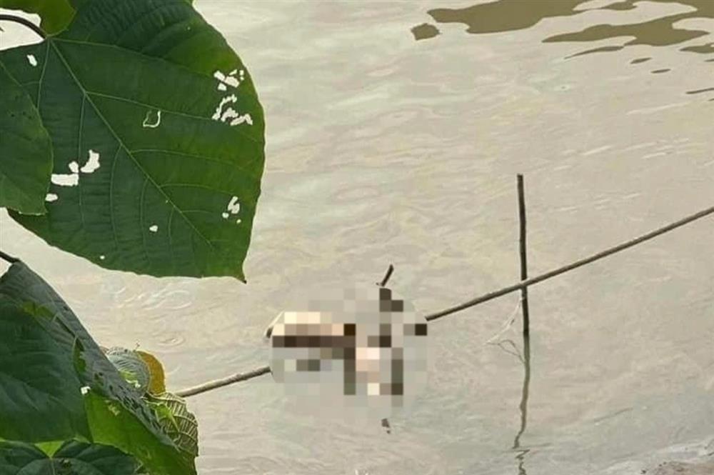 Bắt nghi phạm vụ thi thể bị phân xác ở Hà Nội, nạn nhân là Á khôi-1