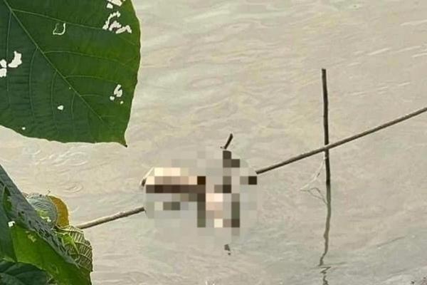 Vụ cô gái bị phân xác thành 4 ở Hà Nội: Nhận định của cựu điều tra viên-3