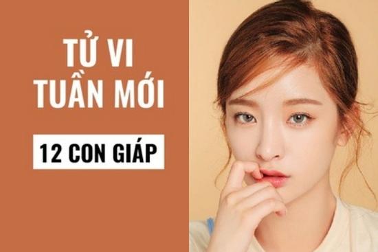 Tử vi tuần mới: 4 con giáp đặc biệt may mắn, làm ăn phát đạt
