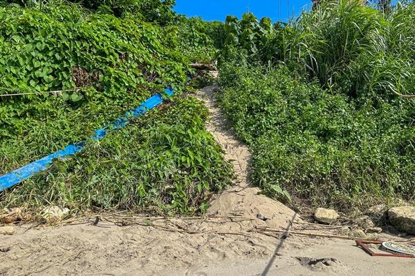 Công an chính thức thông tin về vụ cô gái bị phân xác ở sông Hồng-2