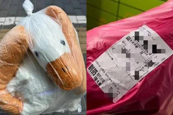 Đặt mua ô tô qua mạng, khách ngơ ngác khi nhận được con ngỗng búp bê-1