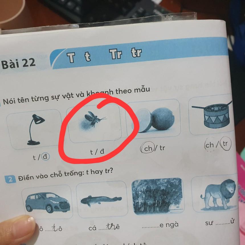 Bức ảnh trong vở bài tập tiếng Việt của học sinh lớp 1 gây tranh cãi: Đây là con gì?-1
