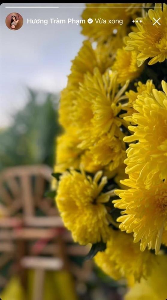 Vừa về Việt Nam, Hương Tràm đau buồn báo tin tang sự, khung ảnh kỷ niệm khiến nhiều người xót xa-2